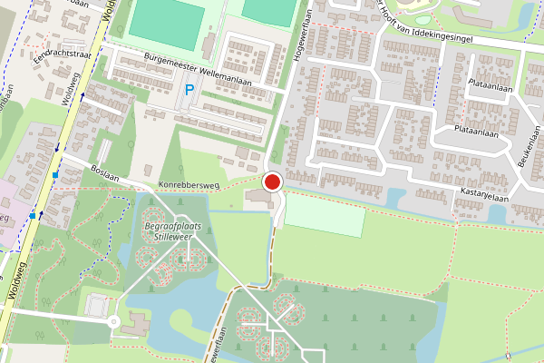 Brandweer-melding op Hogewerflaan, Appingedam op 25 juni, kaart-overzicht